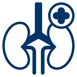 Diagnóstico renal preciso