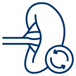 Preparación adecuada para diálisis o trasplante